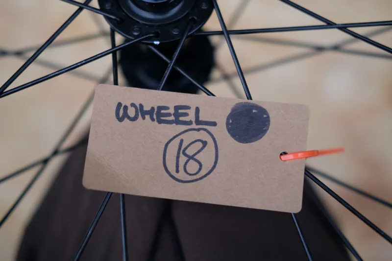 Wheel 18 - Alex Rims EX30 29 Inch Tubeless Ready Disc Brake Front MTB Wheel-4